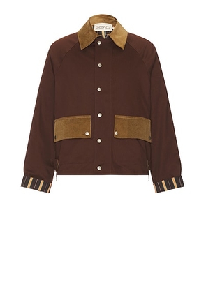 SIEDRES Musy Shirt in Brown - Brown. Size L (also in ).