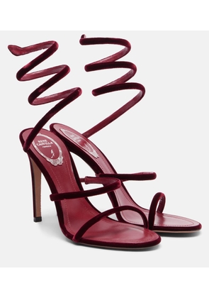 Rene Caovilla Cleo 105 velvet sandals