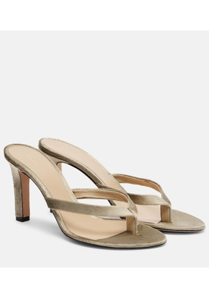 The Row Sacha velvet thong sandals