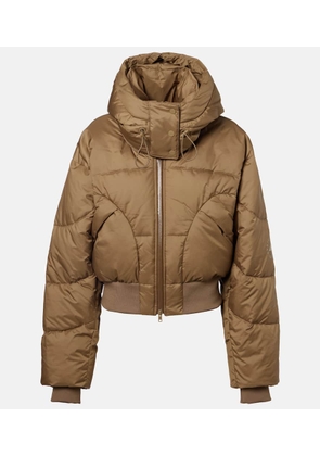 Adidas by Stella McCartney Hooded cropped jacket