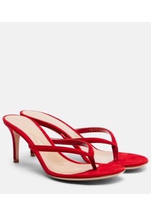Gianvito Rossi Calypso suede thong sandals