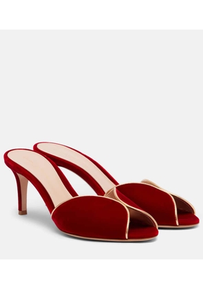 Gianvito Rossi 70 leather-trimmed velvet mules