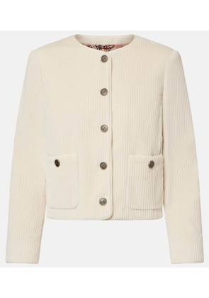 Etro Cotton corduroy jacket