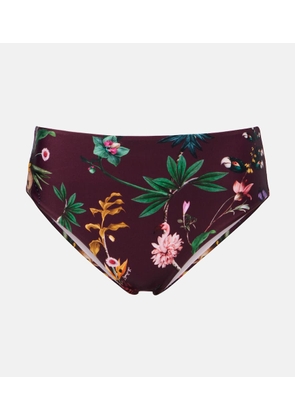 La DoubleJ Boy Brief printed bikini bottoms