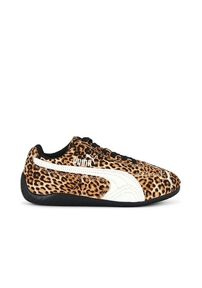Puma Select Mo in Puma Black & Warm White - White,Brown. Size 10 (also in 6, 6.5, 7, 7.5, 8, 9, 9.5).