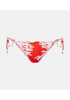 Alexandra Miro Leoni printed bikini bottoms
