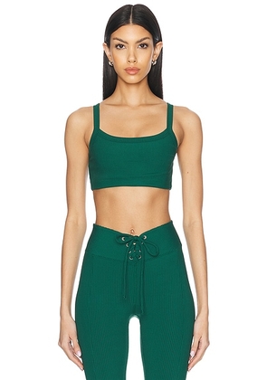 YEAR OF OURS Ribbed Sports Bra in Forest - Dark Green. Size XS (also in ).
