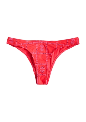 Damson Madder Embroidered Bikini Briefs - Red - 12 (UK12 / M)