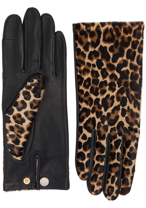 Agnelle Susan Leopard-print Leather and Calf Hair Gloves - 7 (M)