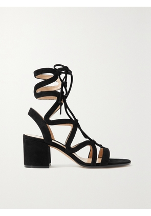 Gianvito Rossi - Artemis 60 Lace-up Suede Sandals - Black - IT34,IT34.5,IT35,IT35.5,IT36,IT36.5,IT37,IT37.5,IT38,IT38.5,IT39,IT39.5,IT40,IT40.5,IT41,IT41.5,IT42