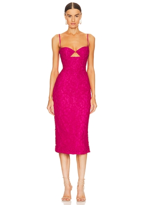 Bardot Ivanna Lace Midi Dress in Fuchsia. Size 10. Also in 8.