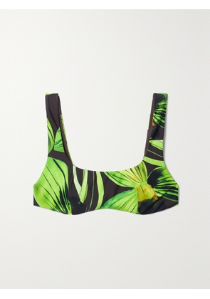 LOUISA BALLOU - Printed Stretch Bikini Top - Green - x small,small,medium,large,x large
