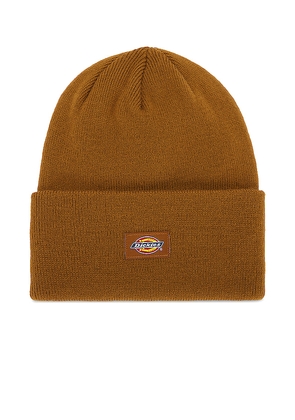 Dickies Tall Beanie in Brown.