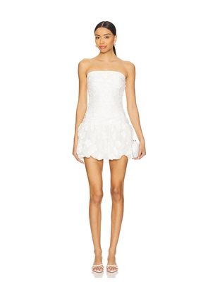 Amanda Uprichard Rendezvous Dress in White. Size L. Also in S, XS, M, XL.