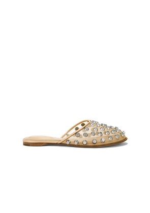 Alexander Wang Rhodes Flat Slipper in Nude. Size 37. Also in 39.