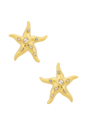 Casa Clara Marley Earrings in Metallic Gold.