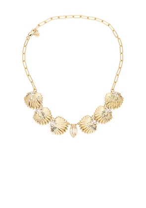 Ettika Scallop Shell Choker in Metallic Gold.
