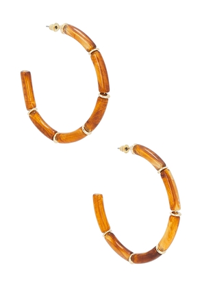 Epifene Bamboo Hoops in Brown.