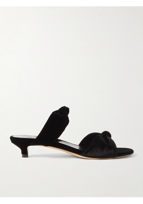 Le Monde Béryl - Knot Velvet Mules - Black - IT35,IT36,IT36.5,IT37,IT37.5,IT38,IT38.5,IT39,IT39.5,IT40,IT40.5,IT41,IT41.5,IT42