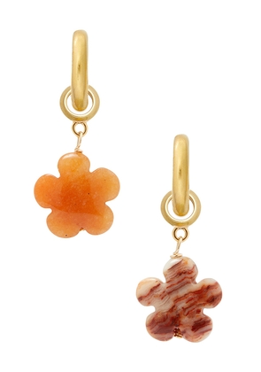 Brinker + Eliza Bloom Hoops in Metallic Gold.