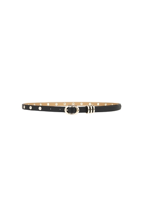 Ettika Classic Studded Skinny Belt in Black. Size L. Also in XS, XL.