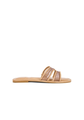 Dolce Vita Flori Flat in Tan. Size 6.5. Also in 7, 7.5, 8, 8.5, 9.