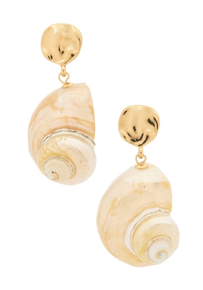 Ettika Sunken Treasure Shell Drop Earrings in Metallic Gold.