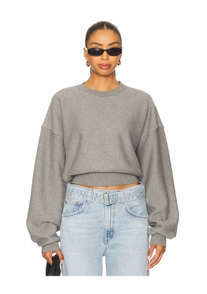 AGOLDE Kit Sweatshirt in Grey. Size L. Also in S, XL.