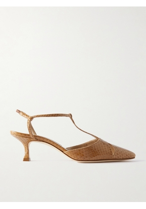 Manolo Blahnik - Turgimod 50 Elaphe Pumps - Brown - IT35,IT36,IT36.5,IT37,IT37.5,IT38,IT38.5,IT39,IT39.5,IT40,IT40.5,IT41,IT41.5,IT42,IT43