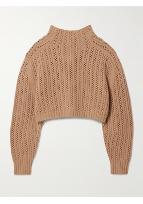 Max Mara - Hodeida Ribbed Pointelle-knit Wool And Cashmere-blend Sweater - Neutrals - x small,small,medium,large,x large,xx large