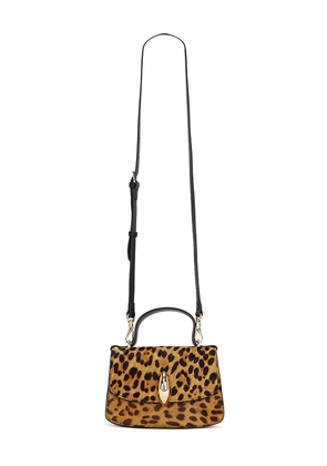 Dolce Vita Lucia Bag in Tan.