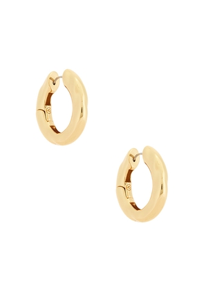 Ettika Liquid Luxe Medium Hoop Earrings in Metallic Gold.