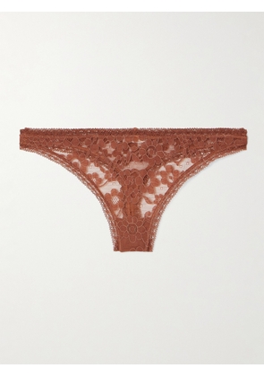 Eres - Marguerite Prairie Stretch-corded Lace Briefs - Brown - FR 36,FR 38,FR 40,FR 42,FR 44