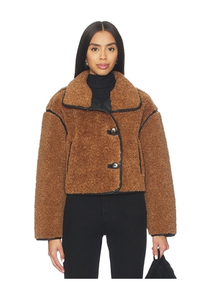 BLANKNYC Teddy Coat in Brown. Size L. Also in XS, S, M.