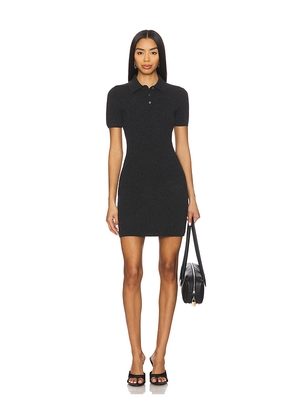 Alexander Wang Polo Dress in Black. Size L. Also in XS, S, M.