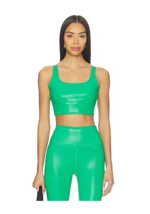 BEACH RIOT Leah Top in Green. Size L. Also in XS, S, M, XL.