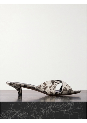 Paris Texas - Laila Snake-effect Leather Mules - Animal print - IT35,IT35.5,IT36,IT36.5,IT37,IT37.5,IT38,IT38.5,IT39,IT39.5,IT40,IT40.5,IT41,IT41.5,IT42