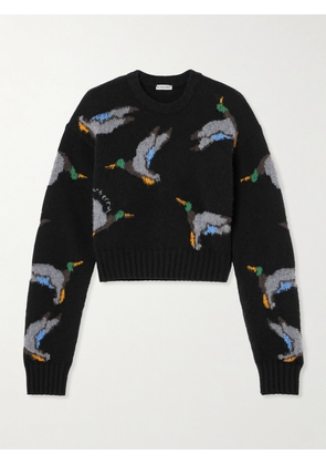 Burberry - Intarsia-knit Wool Sweater - Black - xx small,x small,small,medium,large,x large