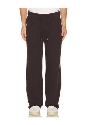 ALLSAINTS Asher Sweatpant in Brown. Size L. Also in S, M, XL/1X.