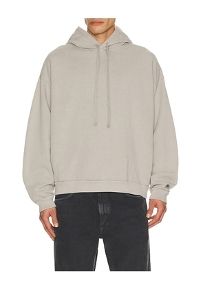AGOLDE Salford Hoodie in Grey. Size L. Also in S, M, XL/1X.