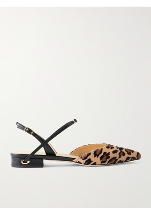 Jennifer Chamandi - Vittorio 20 Leopard-print Calf Hair And Leather Singback Flats - Animal print - IT36,IT36.5,IT37,IT37.5,IT38,IT38.5,IT39,IT39.5,IT40,IT40.5,IT41,IT41.5,IT42