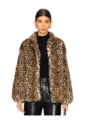 HEARTLOOM Shireen Coat in Brown. Size M. Also in S, XL, XS.