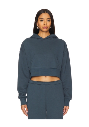 IVL Collective Cropped Hoodie in Blue. Size L. Also in XL.
