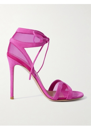 Gianvito Rossi - Falene 110 Suede-trimmed Tulle Sandals - Pink - IT36,IT36.5,IT37,IT37.5,IT38,IT38.5,IT39,IT39.5,IT40,IT40.5,IT41,IT41.5,IT42