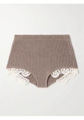 Magda Butrym - Crocheted Cotton Lace-trimmed Ribbed Cashmere Shorts - Brown - FR 36,FR 38,FR 40,FR 42