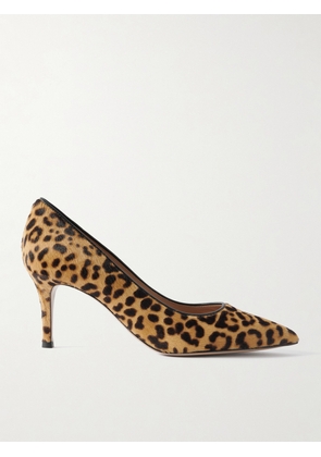 Gianvito Rossi - 70 Leopard-print Calf Hair Pumps - Animal print - IT36,IT36.5,IT37,IT37.5,IT38,IT38.5,IT39,IT39.5,IT40,IT40.5,IT41,IT41.5,IT42