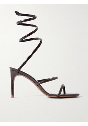 René Caovilla - Cleo Snake Leather Sandals - Brown - IT36,IT36.5,IT37,IT37.5,IT38,IT38.5,IT39,IT39.5,IT40,IT40.5,IT41,IT41.5,IT42