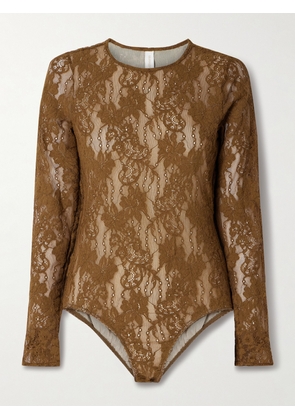 Zimmermann - Stretch-corded Lace Bodysuit - Brown - 00,1,2,3,4
