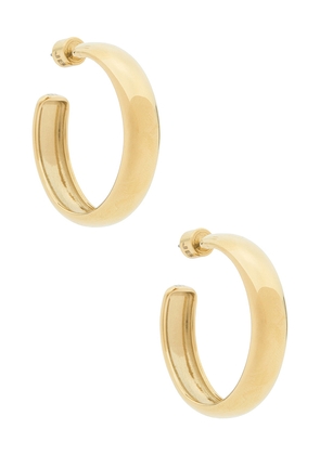 Jenny Bird Staple Hoops Large Earrings in Metallic Gold.