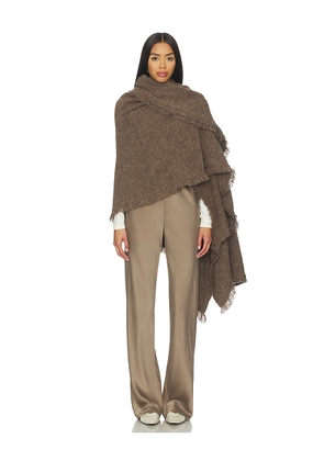 Janessa Leone Blanket Scarf in Brown.